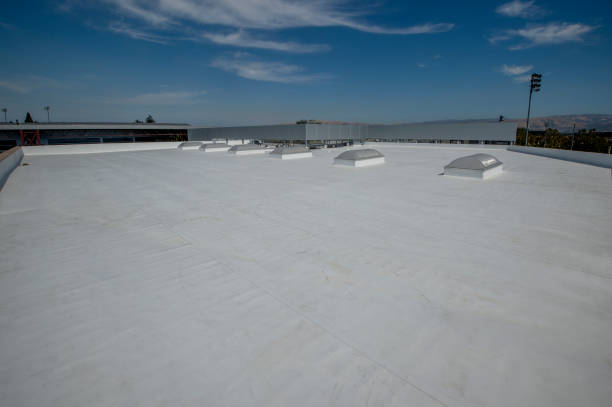 Best Rubber Roofing (EPDM, TPO)  in Delavan, WI