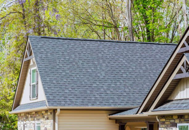 Best Green or Eco-Friendly Roofing Solutions  in Delavan, WI